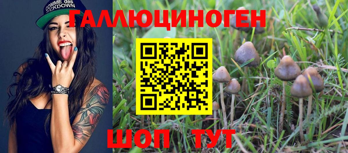 Псилоцибиновые грибы прущие грибы Лениногорск